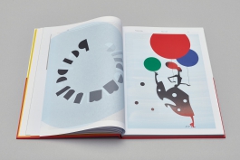 Coppens Alberts - Piet Paris